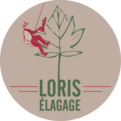 Loris Elagage